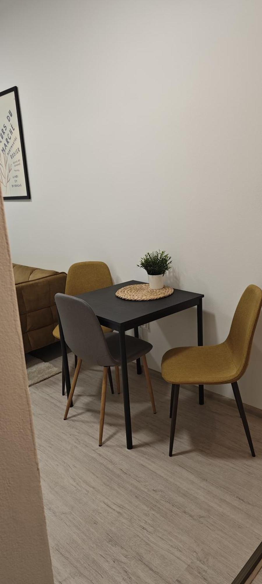 Apartman Grebovka * Prague